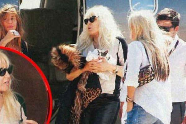 Pascual el gatito que hace feliz a Su Gimeacutenez