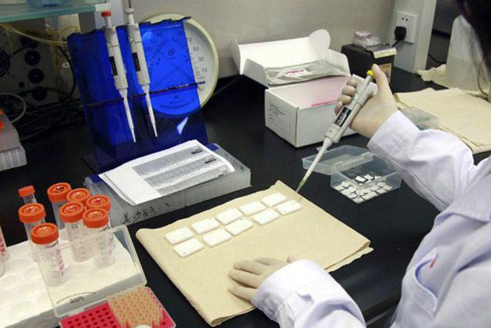 Cientiacuteficos consiguen que las ceacutelulas canceriacutegenas se autodestruyan