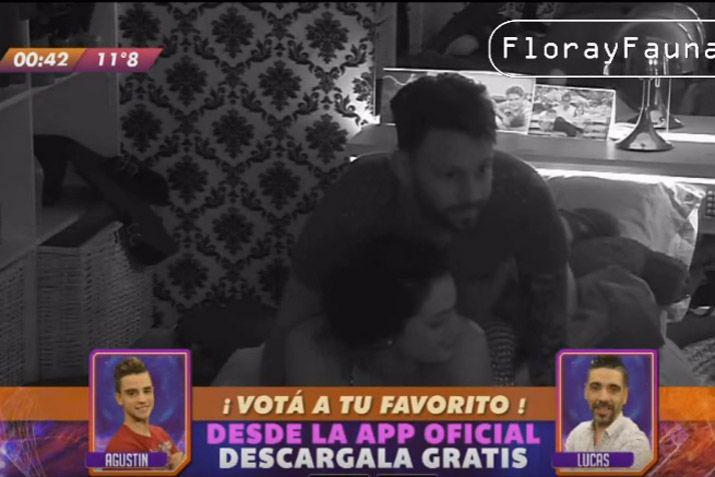 Video- besos y toqueteos de Macarena Peacuterez en GH