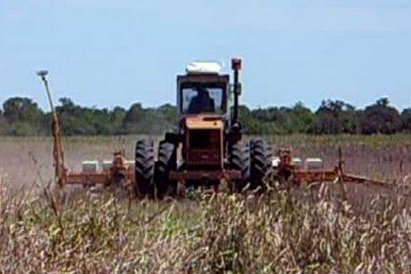Murioacute electrocutado tractorista que cosechaba soja en un campo de Friacuteas