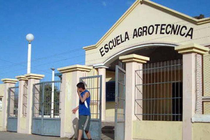 Roban 26 gallinas ponedoras donadas por el INTA en Friacuteas