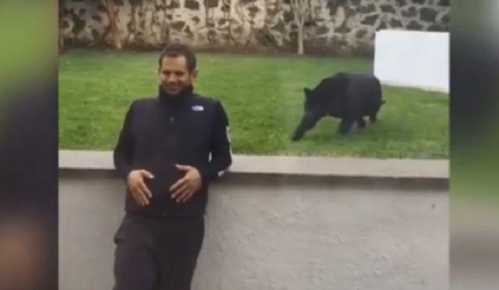 Tras el video del leoacuten y el nintildeo ahora una pantera ataca a un hombre