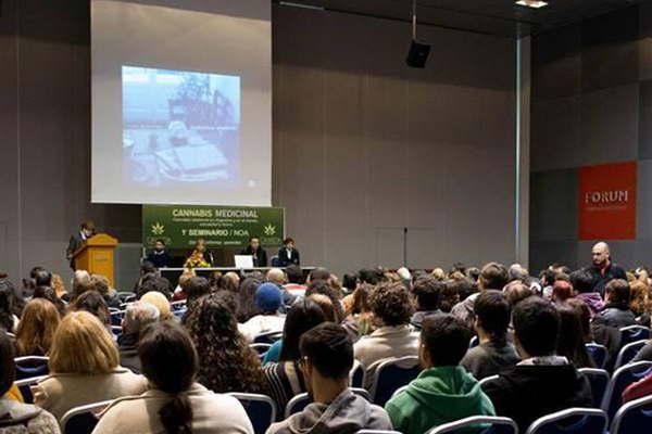 Se debatioacute sobre el uso medicinal del cannabis