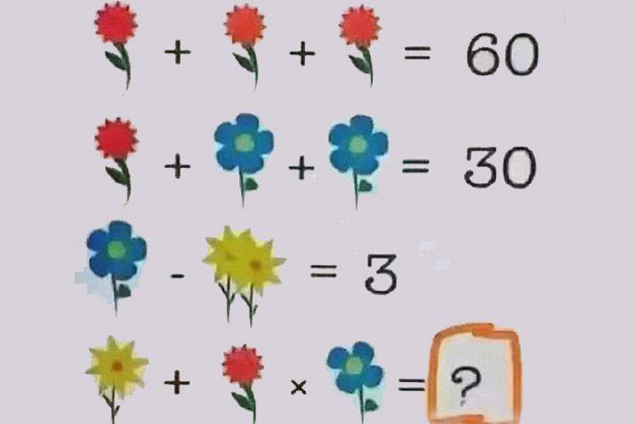 La ecuacioacuten matemaacutetica de las flores que enloquece a internet
