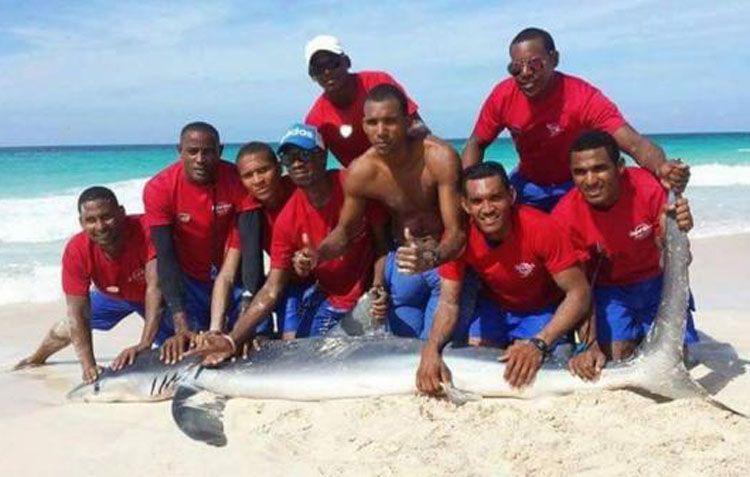 Compartieron la foto en Facebook