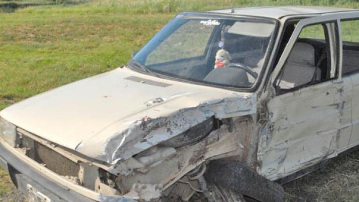 Iba a su trabajo embistioacute y matoacute a un caballo