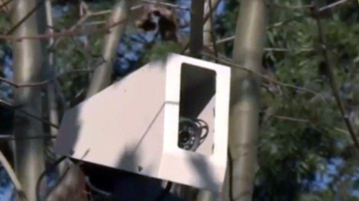 Caso Loacutepez- video del moderno sistema de seguridad en el monasterio