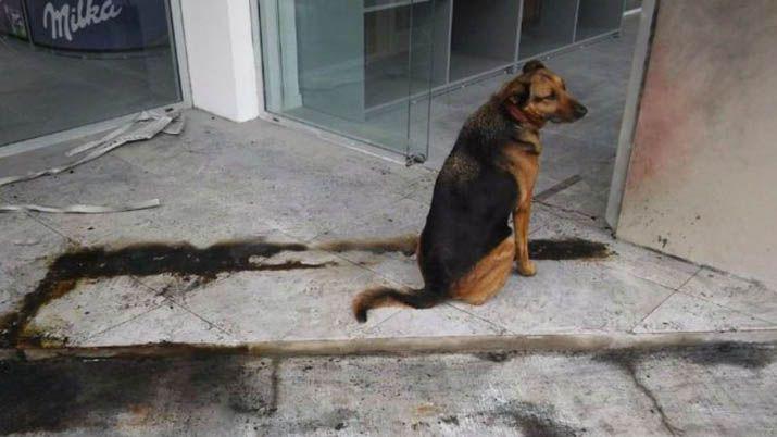 Dormiacutea en la vereda y un vecino le incendioacute el colchoacuten porque molestaba