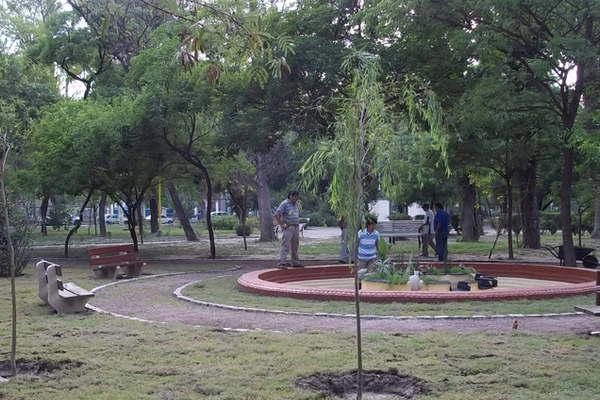 Piden a vecinos preservar los aacuterboles plantados en la ciudad
