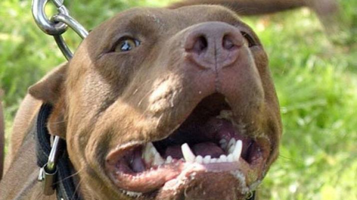 El ataque se produjo en el hogar de la víctima 