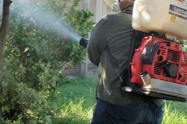 Persiste el dengue en Formosa