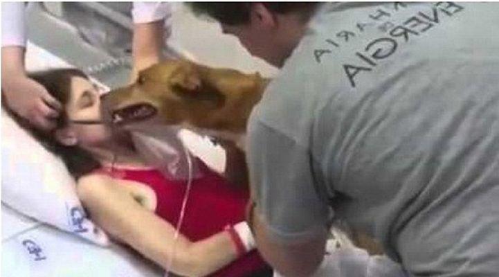 Mujer con una enfermedad terminal se despide por uacuteltima vez de su perro