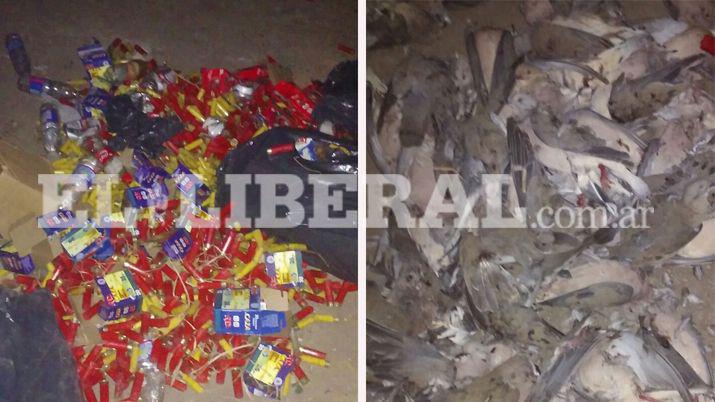 El en edificio se encontraron cartuchos armas un bote una lancha y dems elementos para la caza