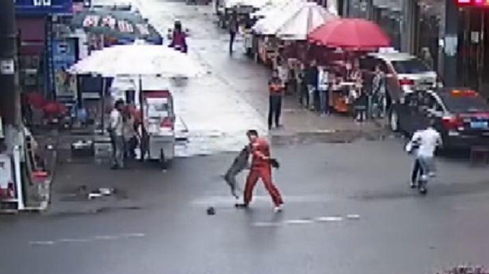 Un perro feroz ataca a maacutes de 20 personas