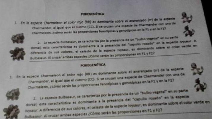 Una profesora rosarina armoacute una Pokeprueba para sus alumnos