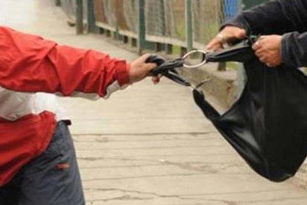 Motochorros le arrebataron una cartera con  500