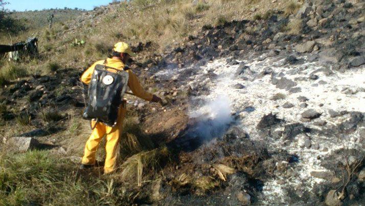 Brigada de lucha contra incendios forestales