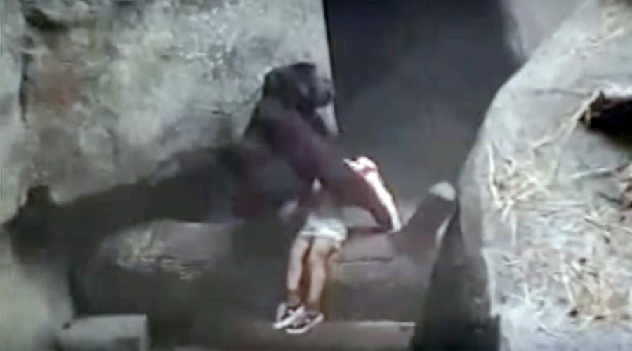 A 20 antildeos de una caricia y un video que conmovioacute al mundo