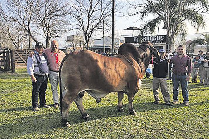 Por primera vez una cabantildea santiaguentildea hizo podio con sus Brahman en Corrientes