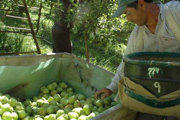 Regalaraacuten 10 t de frutas en protesta por los precios