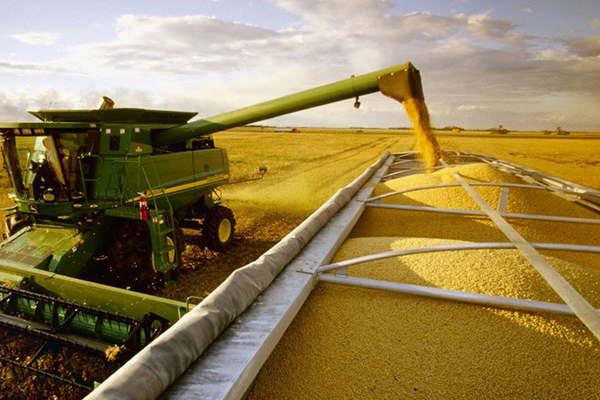 Venta de granos a industria y exportadores se redujo un 13-en-porciento-