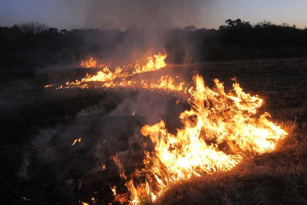 Controlan incendio de importante magnitud en Pampa de los Guanacos