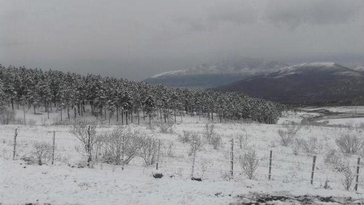 Sorpresiva nevada en Tafiacute de Valle