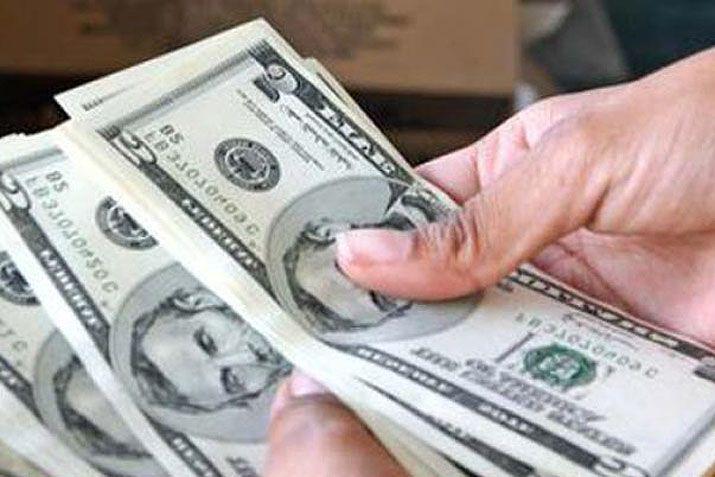 El doacutelar cerroacute estable a  1533