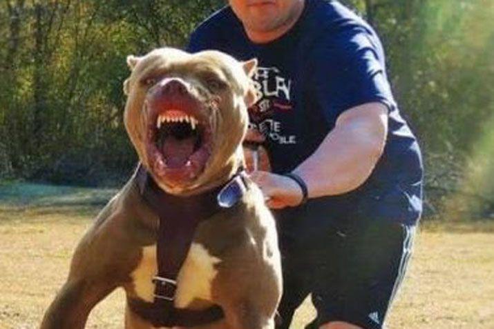 La policía tuvo que intervenir para controlar la situación