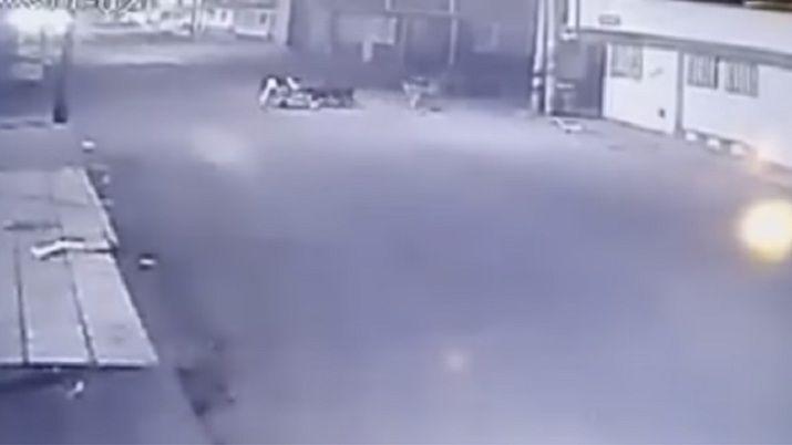 Manada de perros ataca a una mujer indefensa