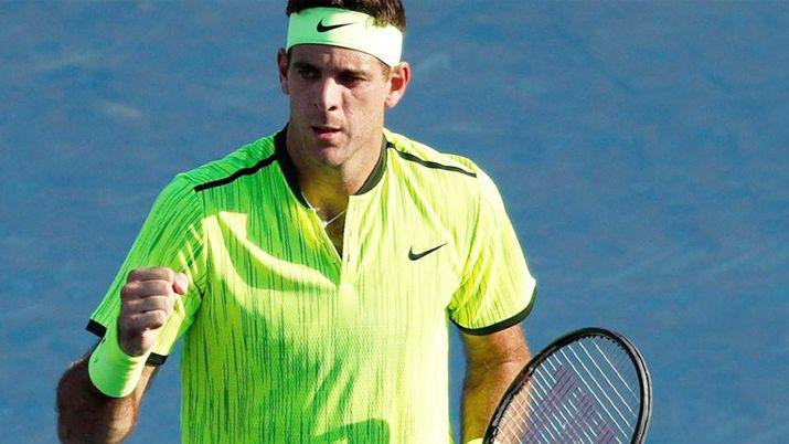 Del Potro superoacute a David Ferrer y pasa a octavos