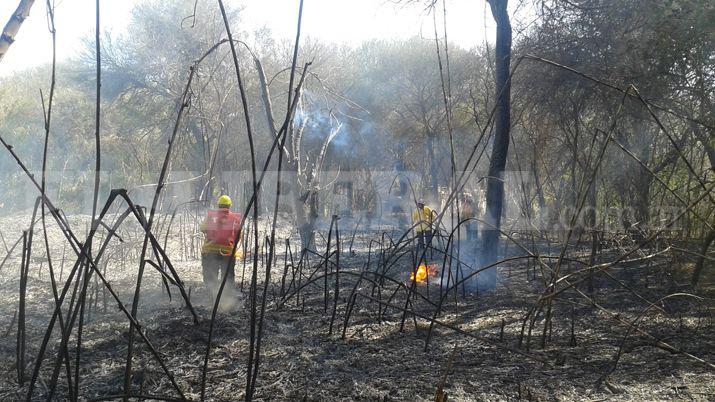 Alarma por quema de pastizales en El Zanjoacuten