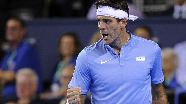 Copa Davis- triunfazo de Del Potro ante Murray
