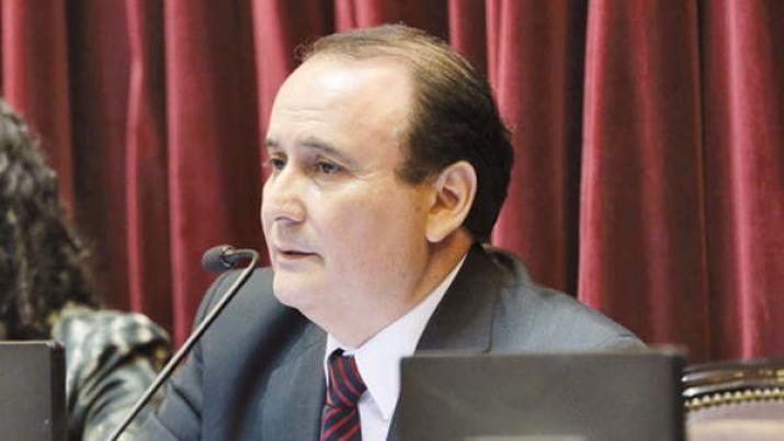 Montenegro promueve proyecto para extender licencias por maternidad