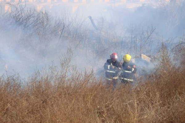 Bomberos Voluntarios lograron sofocar un incendio forestal