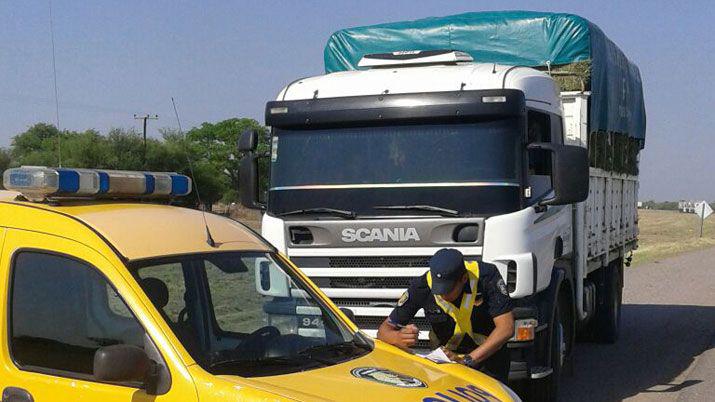 Secuestran gran cantidad de alfalfa y lentildea por falta de documentacioacuten