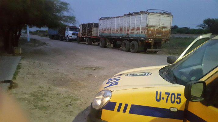 Secuestran gran cantidad de alfalfa y lentildea por falta de documentacioacuten