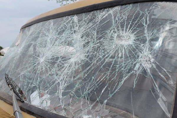 Tambieacuten lo acusariacutean de talar 500 hectaacutereas