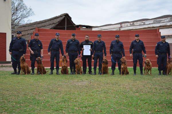 Refuerzan controles en las fronteras  de la provincia con canes adiestrados