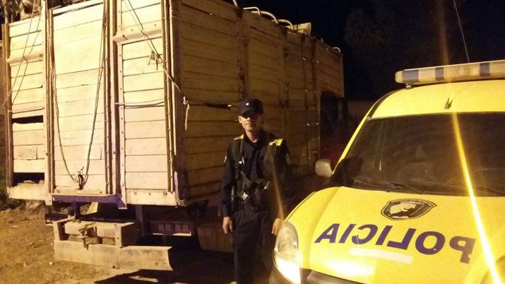 Camionero abandonoacute su vehiacuteculo con cuatro vacas en un control