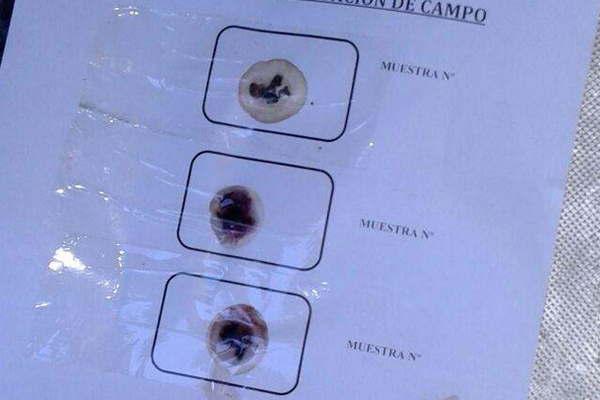 Policiacutea sorprende a  duacuteo y le incauta droga de entre sus ropas 