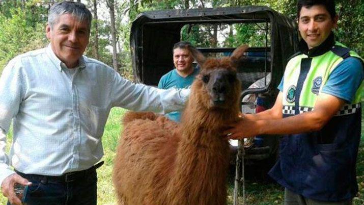 Insoacutelito- Allanaban una casa por un asesinato y encontraron una llama