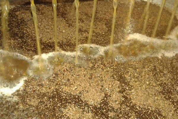 Coacutemo es el proceso de elaboracioacuten  de esta bebida