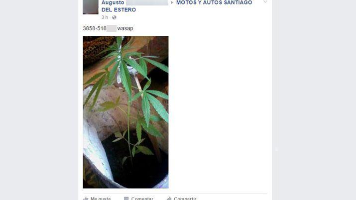 Santiaguentildeo ofrece marihuana en grupos de Facebook