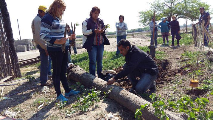 Capacitaron a productores y teacutecnicos de la Agricultura Familiar en huertos frutales