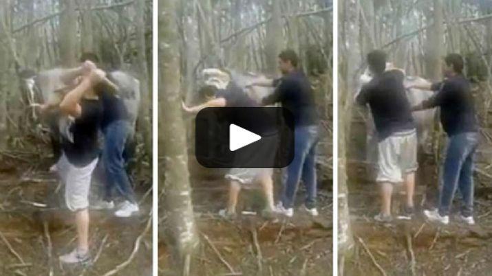 Bestial- atacaron a mazazos a un caballo y subieron el video a las redes