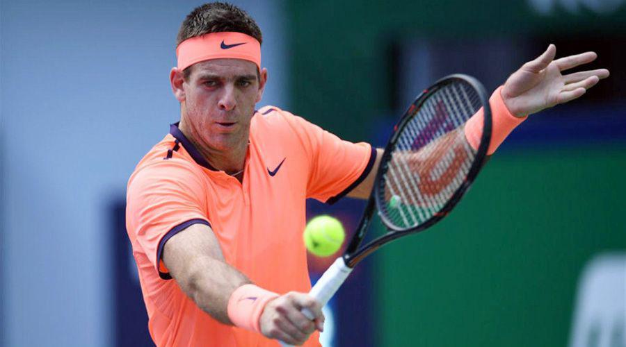Juan Martiacuten del Potro no pudo con David Goffin