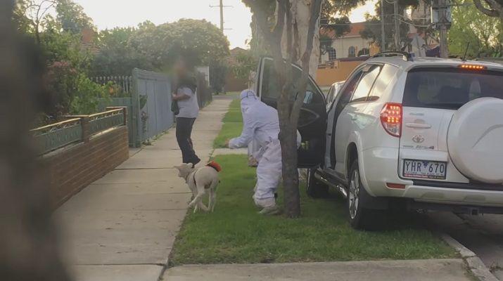 La cruel broma del cordero-bomba