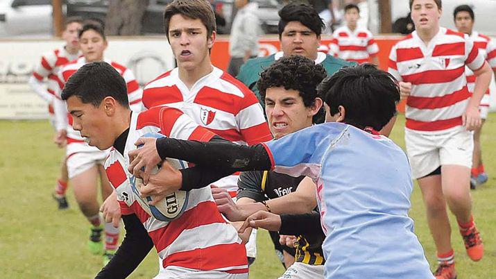 El Lawn Tennis tiene un semillero que pinta para grandes cosas en el futuro