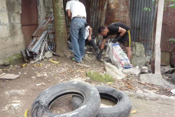 Acentuacutean acciones para poner fin al problema del dengue